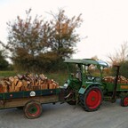 Fendt Gt 231 mit Brennholz